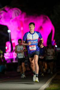 BIB: 
                            <button type="button" onclick="openModal(26530678)" class="btn btn-primary btn-sm float-right btn-popup" data-toggle="modal" data-target=".modal-high-quality">
                        <i class="fas fa-shopping-cart"></i> Add to Cart
                    </button>
                                            <button type="button" onclick="isThisMe(26530678, true)" class="btn btn-success btn-sm float-right btn-popup btn-isme hidden" data-toggle="tooltip" data-placement="bottom" title="นี่คือรูปของคุณใช่ไหม คลิกที่นี่เพื่อเอาเข้าอัลบั้ม">
                        <i class="fas fa-plus"></i> Add to album
                    </button>
                    <button type="button" onclick="isThisMe(26530678, false)" class="btn btn-warning btn-sm float-right btn-popup btn-isnotme hidden">
                        <i class="fas fa-ban"></i> Remove from album
                    </button>